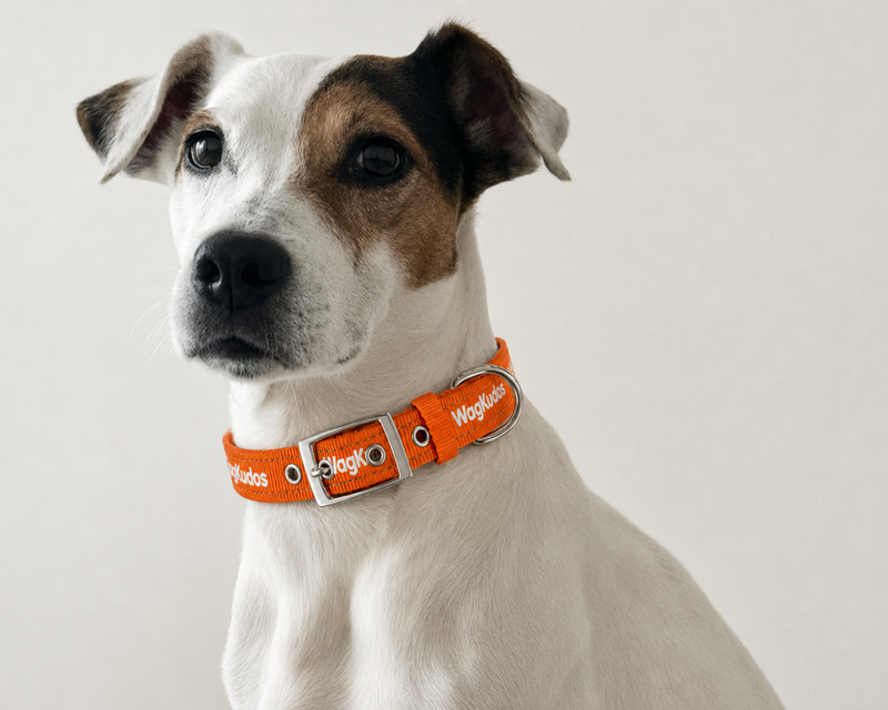 Collars