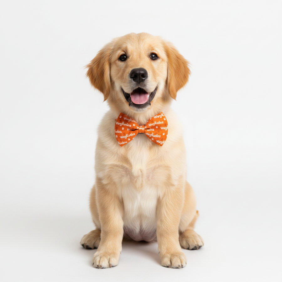Bandanas & Bow Ties