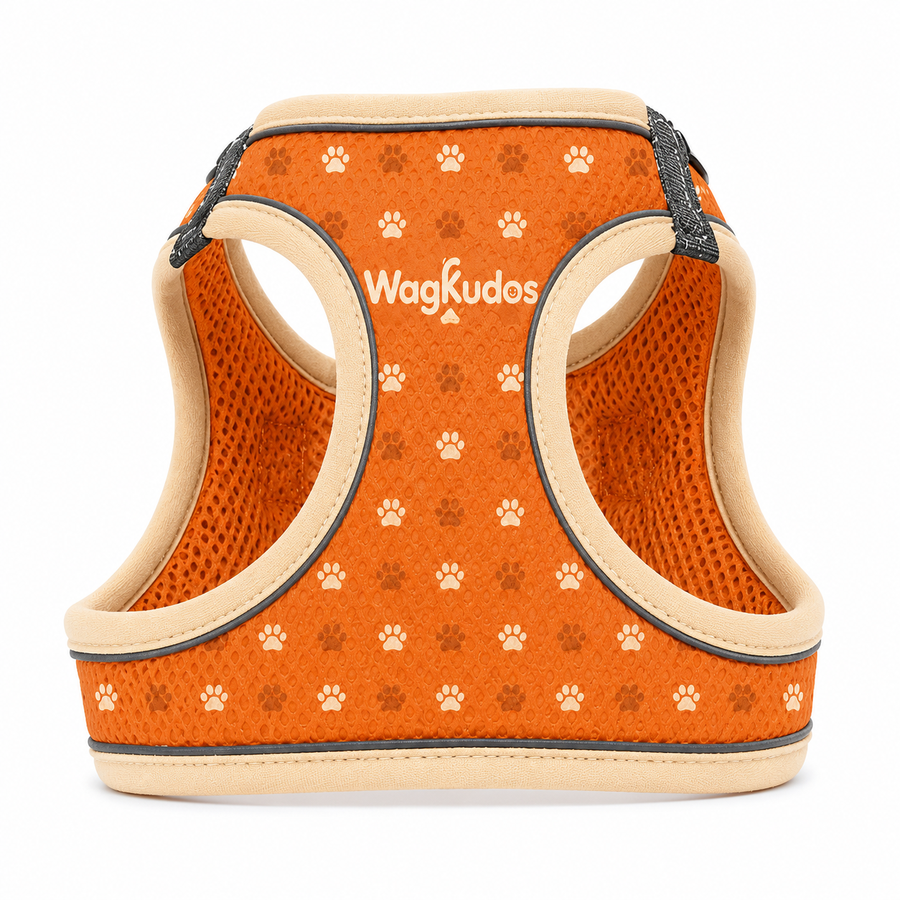 Custom Breathable Mesh Pet Harness (B103)
