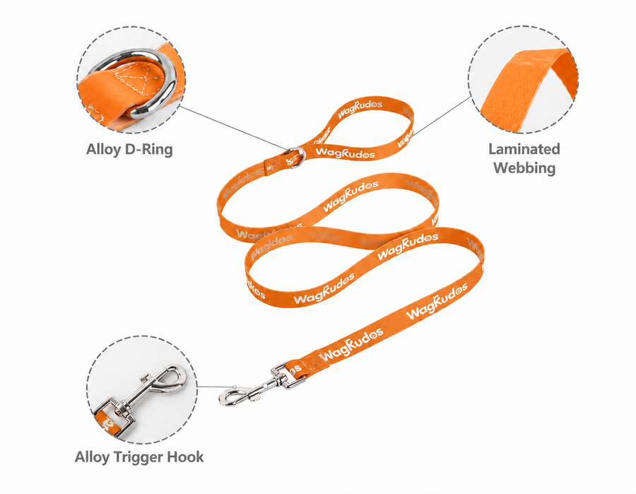 Waterproof & Odor-Resistant Dog Leash (D108)
