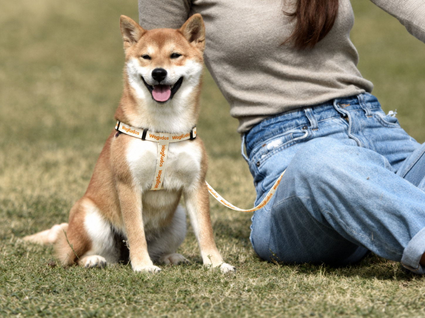 Custom Step-In Dog Harness (B104)