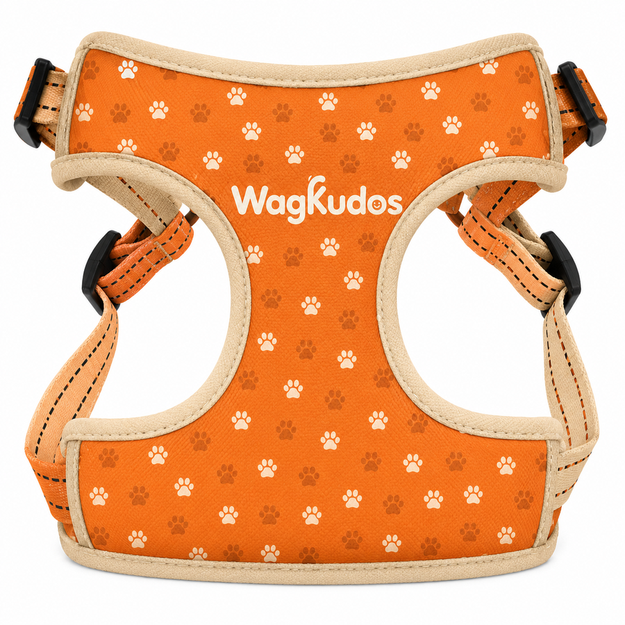 Custom Padded Y-Front Dog Harness (B106)