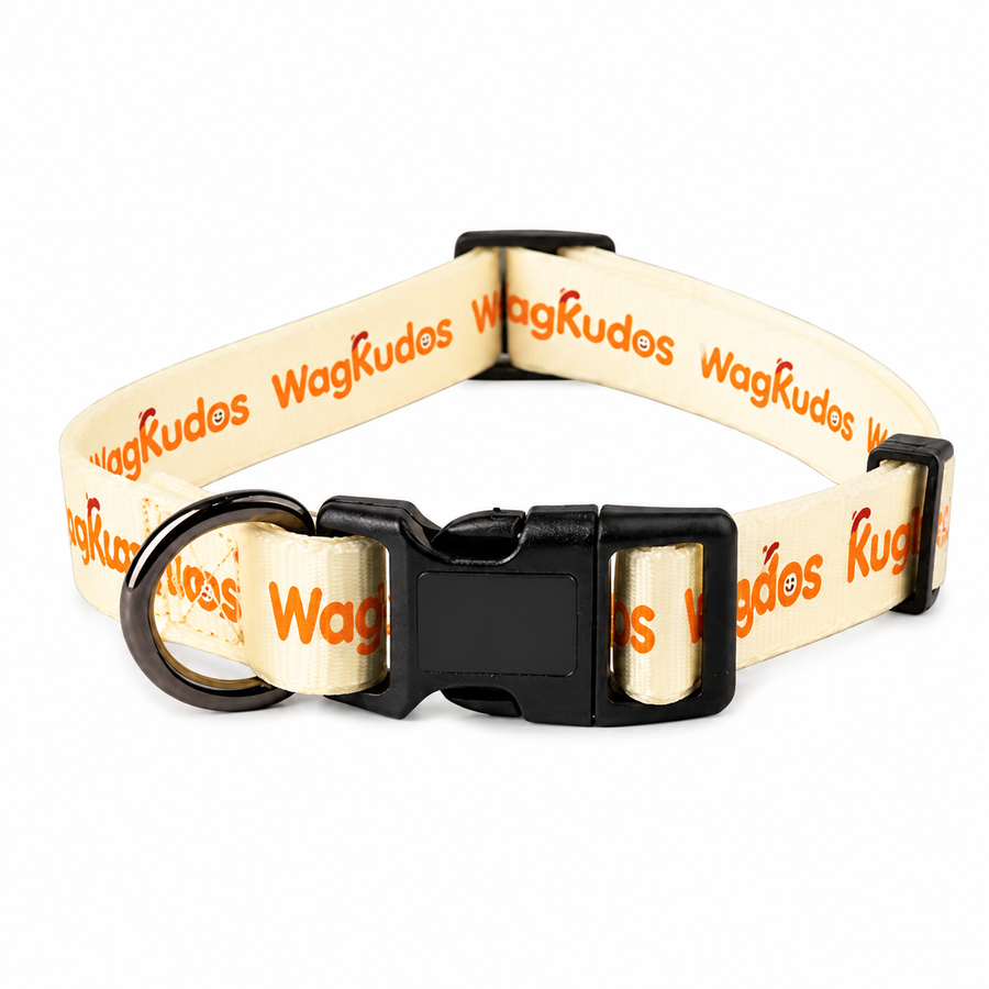 Waterproof & Odor-Resistant Dog Collar (C103)