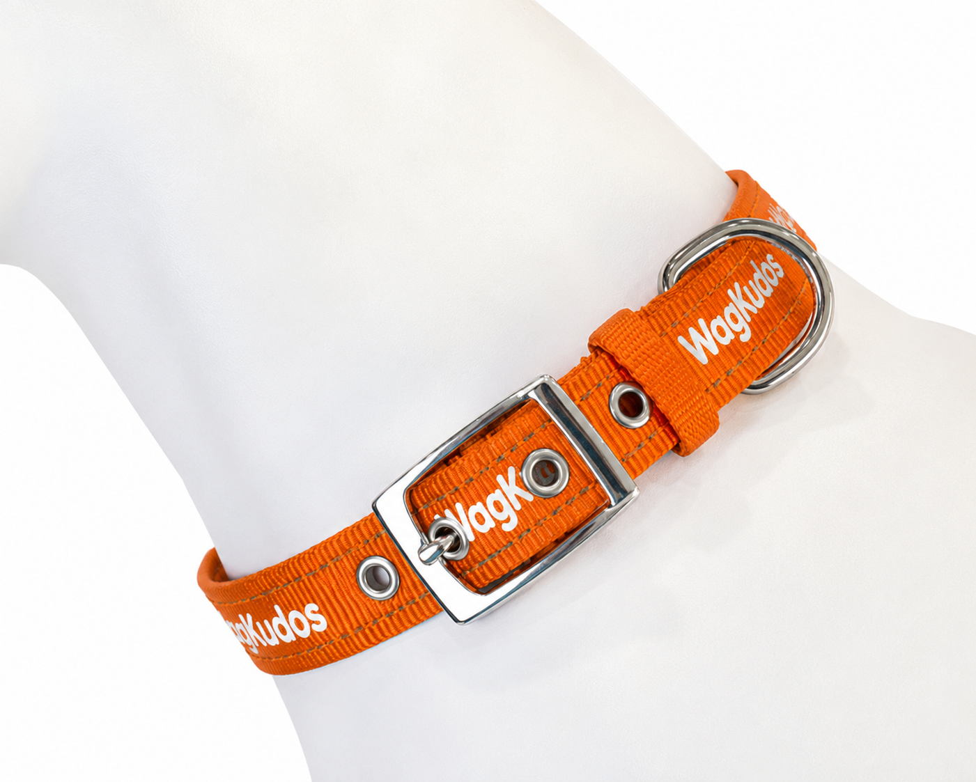 Adjustable Belt-Buckle Dog Collar (C104)
