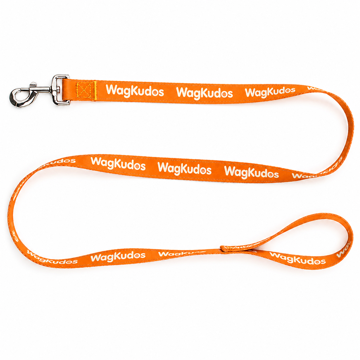 Custom Everyday Dog Leash (D101)