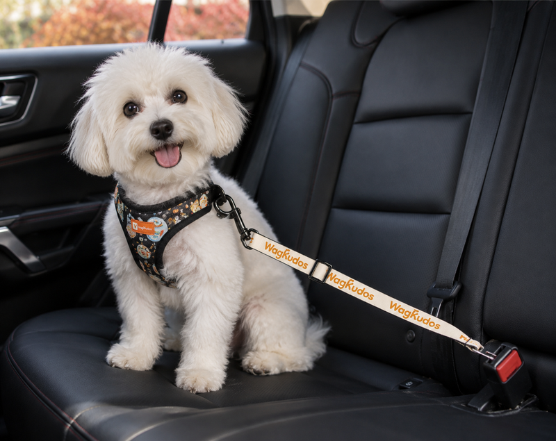 Adjustable Dog Seat Belt Tether (D105)
