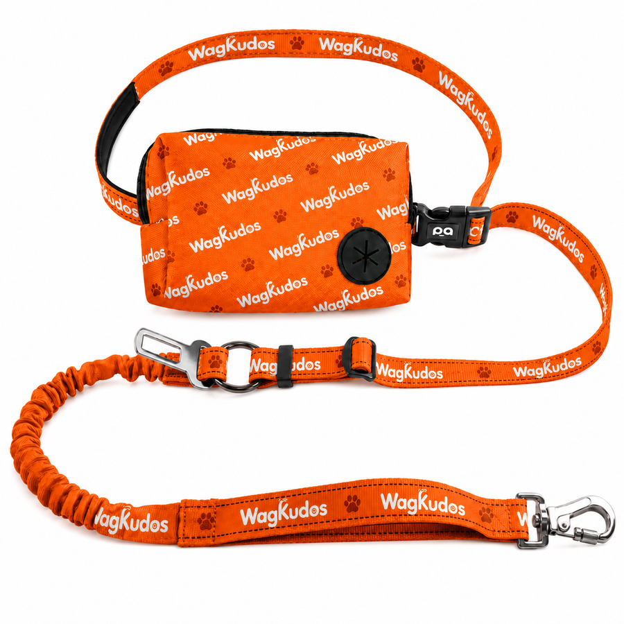 3-in-1 Hands-Free Dog Walking & Travel System (D113)