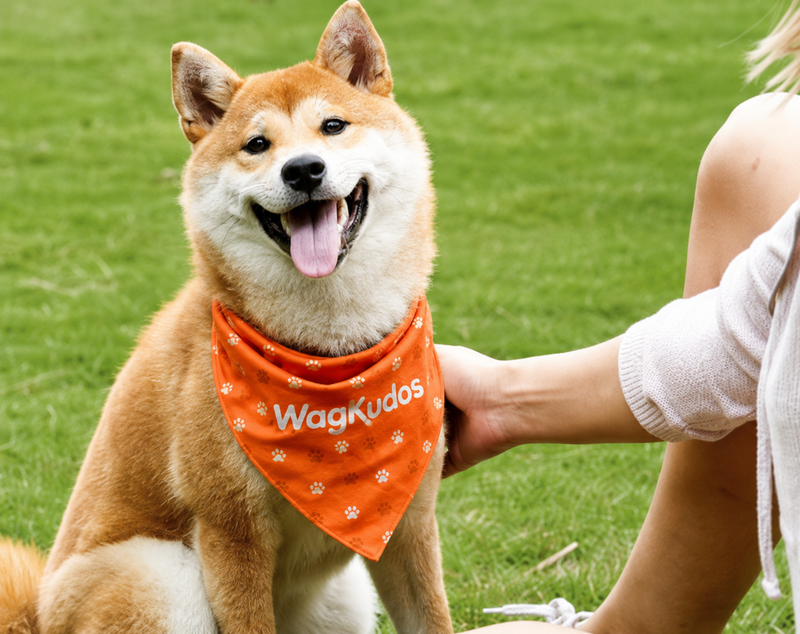 Custom Tie-On Dog Bandana (E101)