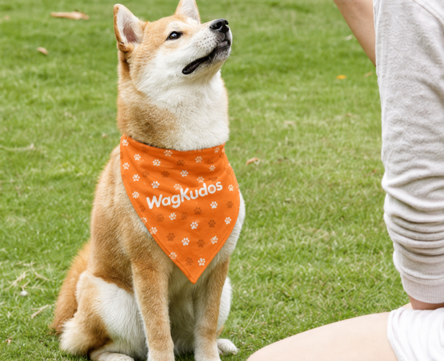 Custom Tie-On Dog Bandana (E101)