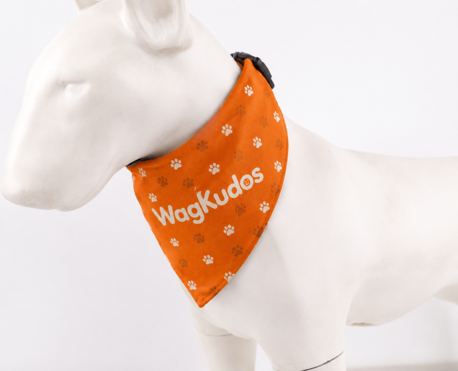 Over-the-Collar Dog Bandana (E102) 