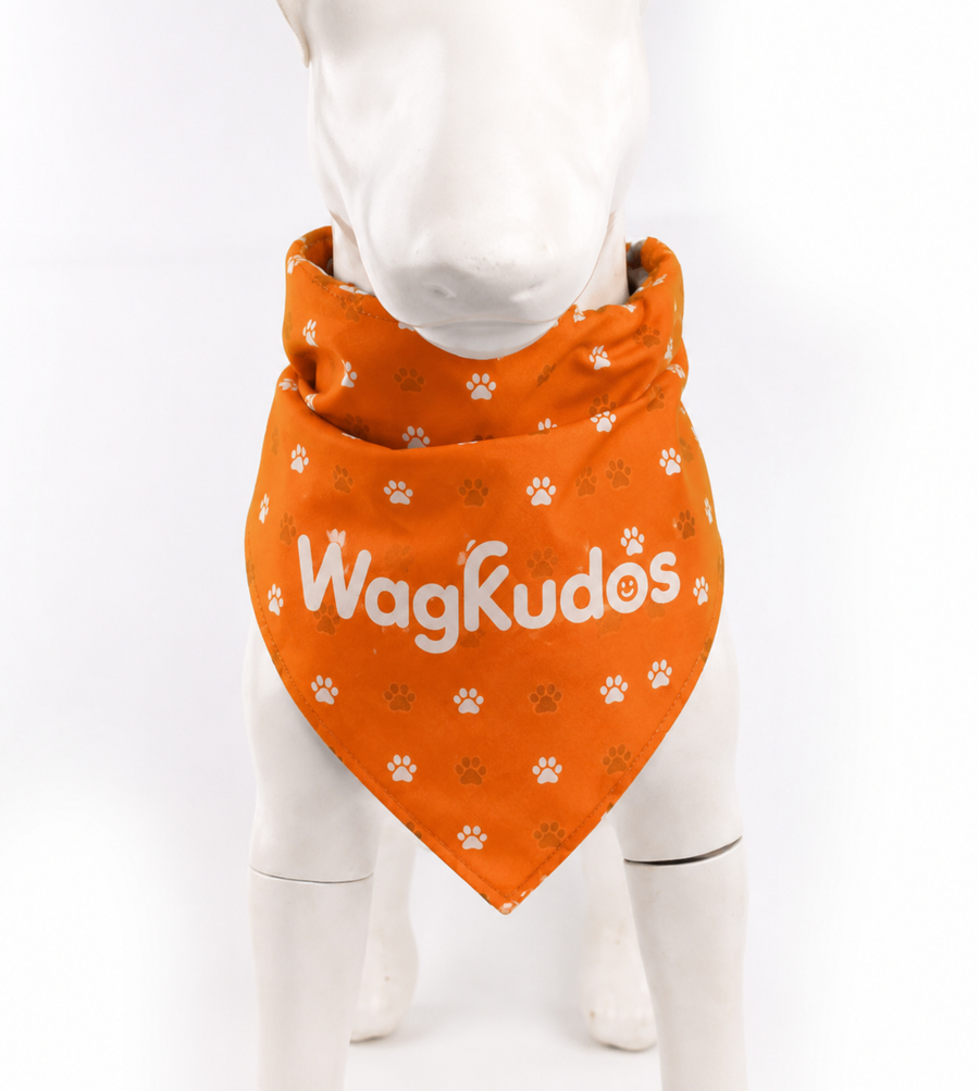 Over-the-Collar Dog Bandana (E102) 