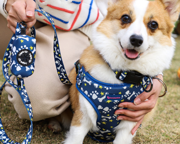 Clip-On Dog Waste Bag Holder (E103)
