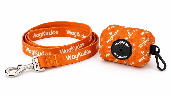 Leashes & Travel Accessories