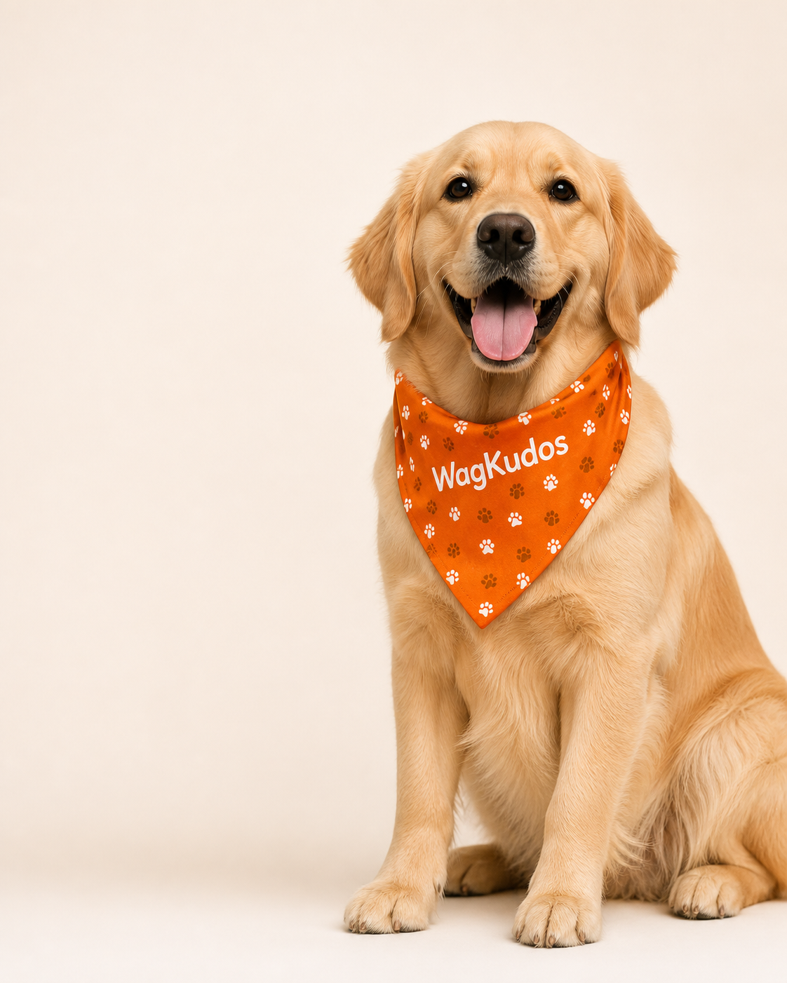 Golden retriever wearing an orange WagKudos bandana